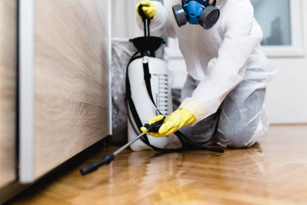 Best Best Pest Control Companies  in Hydesville, CA