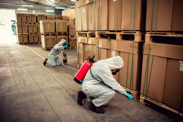 Best Pest Control Near Me  in Hydesville, CA