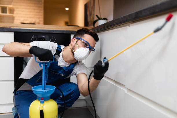 Best Affordable Pest Control Services  in Hydesville, CA
