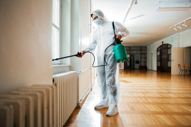 Best Ant Control Services  in Hydesville, CA